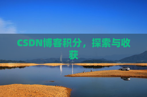 CSDN博客积分，探索与收获