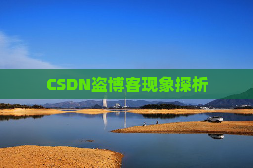 CSDN盗博客现象探析 CSDN盗博客现象探析